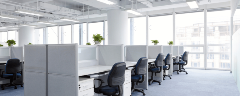 Bodegas-y-mini-bodegas-2025