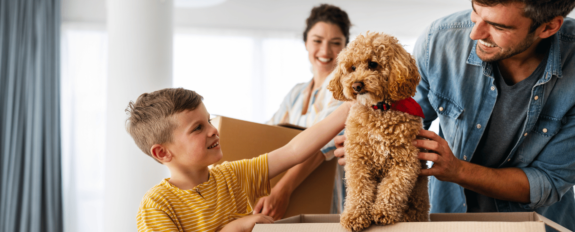 Mudanza-con-mascotas