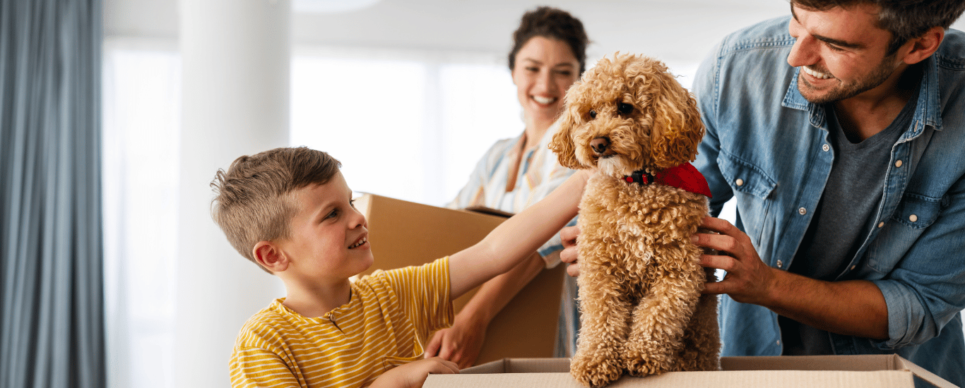 Mudanza-con-mascotas Mudanza-con-mascotas