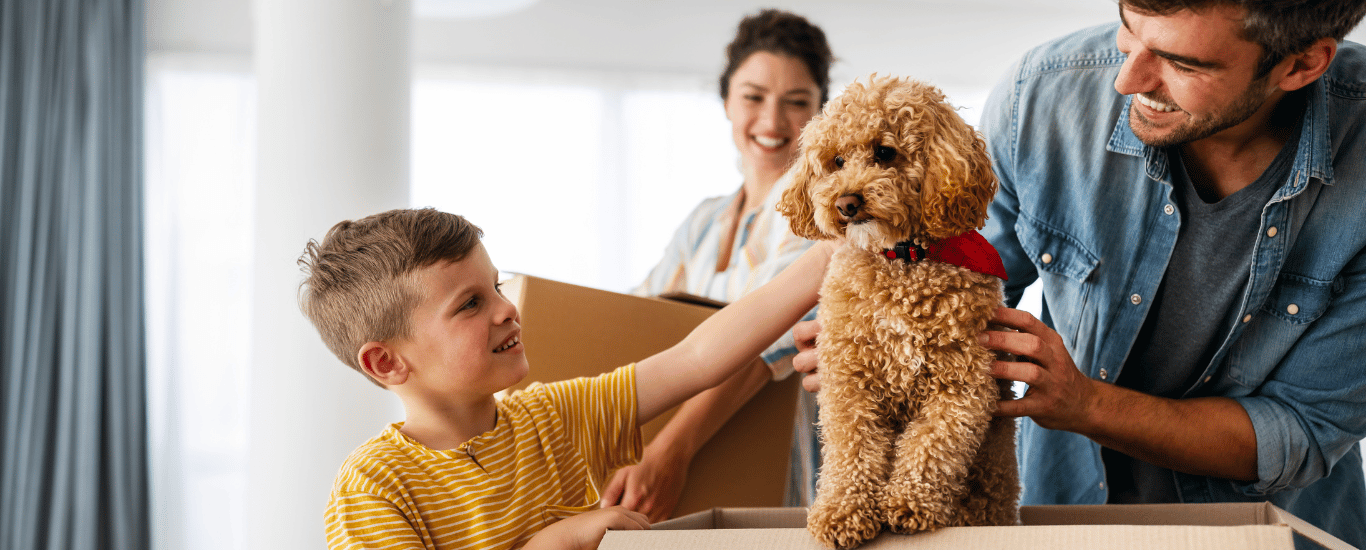 Mudanza-con-niños-y-mascotas Mudanza-con-niños-y-mascotas