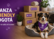 Mudanza-pet-friendly