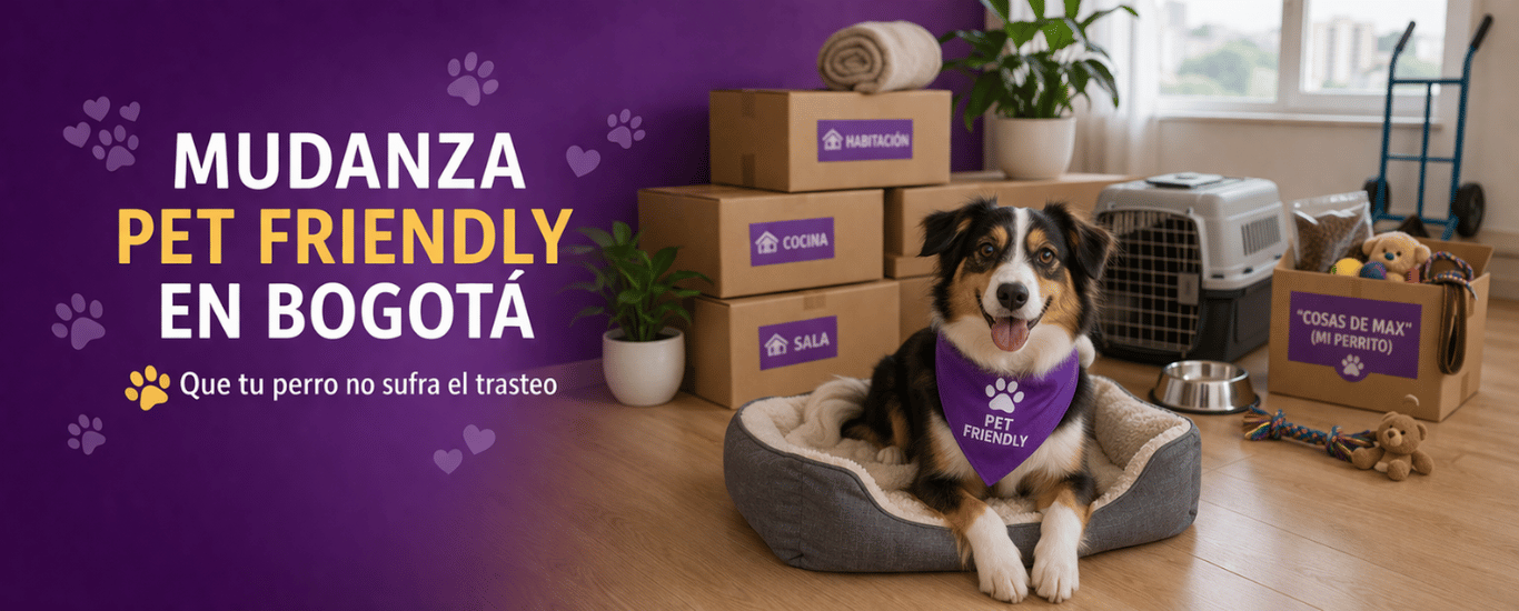 Mudanza-pet-friendly