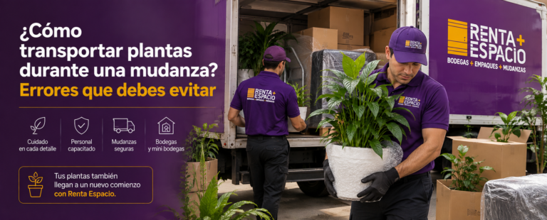 Transportar-plantas