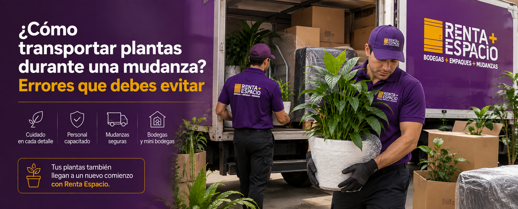 Transportar-plantas